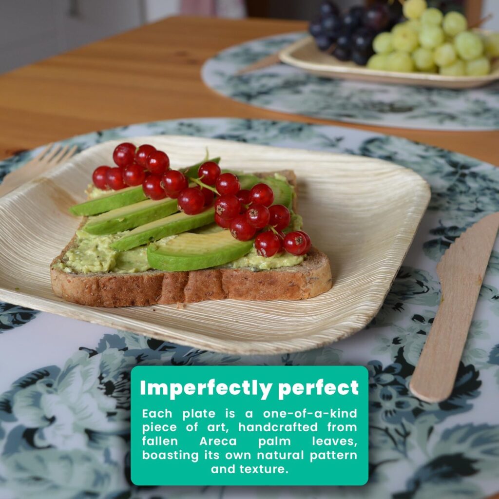 Disposable Dinnerware Set Eco Palm Plates 3