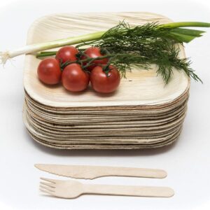 Disposable Dinnerware Set Eco Palm Plates