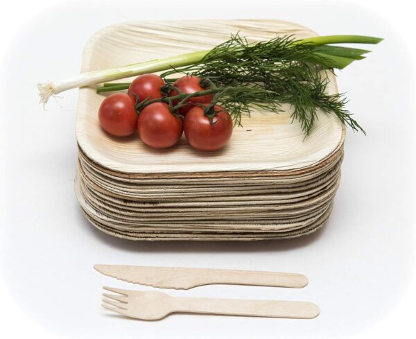 Disposable Dinnerware Set Eco Palm Plates